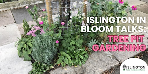 Immagine principale di Islington in Bloom Talk: Tree Pit Gardening 