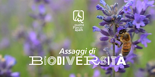 Imagen principal de Assaggi di biodiversità nella Riserva Naturale Sorgenti del Belbo