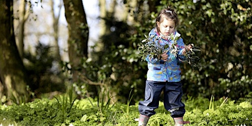 Imagem principal do evento Fingringhoe Nature Tots - Free Taster Session