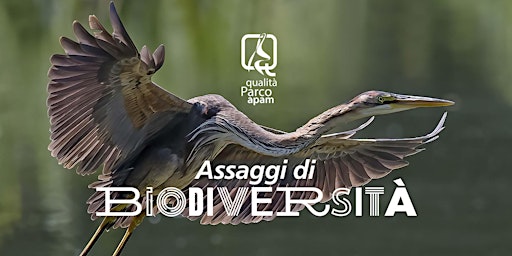 Imagem principal do evento Assaggi di biodiversità nella Riserva Naturale di Crava-Morozzo