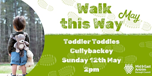 Imagem principal do evento Toddler Toddle - Culleybackey