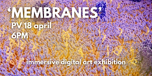 Image principale de Immersive digital art exhibition / Membranes