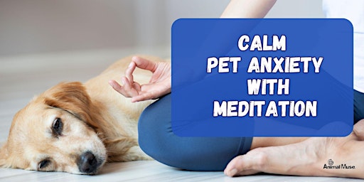 Imagem principal do evento Calm Pet Anxiety Naturally with Meditation