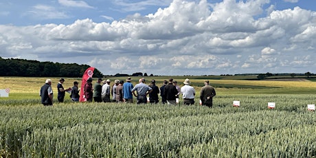 LG Variety Demo Day - Rothwell, Lincolnshire