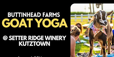 Imagem principal de Baby Goat Yoga Snuggle & Sip at Setter Ridge Winery