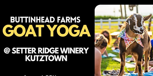 Baby Goat Yoga Snuggle & Sip at Setter Ridge Winery primary image