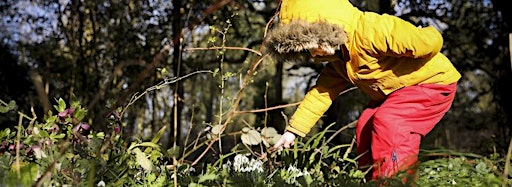 Collection image for Great Holland Nature Tots - Free Taster Sessions