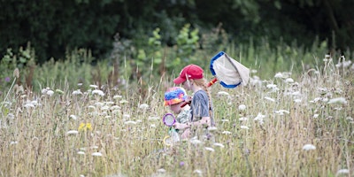 Imagem principal do evento Wildflowers Wildfamilies at The Wolseley Centre