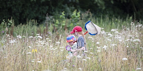 Wildflowers Wildfamilies at The Wolseley Centre