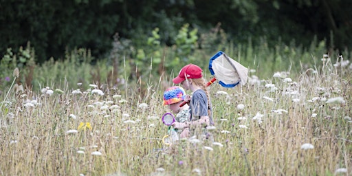 Imagem principal de Wildflowers Wildfamilies at Biddulph Grange
