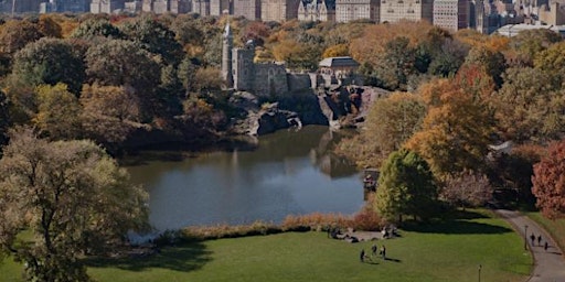 Group Hypnotherapy Central Park, NY  primärbild