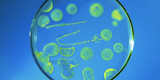 Imagen principal de Ecology and evolution of antibiotic resistance in bacterial pathogens