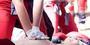 Image principale de American Red Cross Adult & Pediatric First Aid and CPR/AED Blended Learning