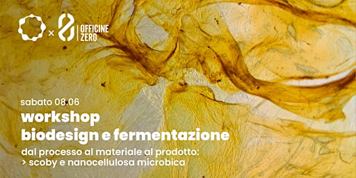 Hauptbild für Workshop biodesign e fermentazione con Lorena Trebbi