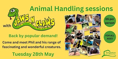 Imagem principal do evento Jaws n Claws Animal Handling