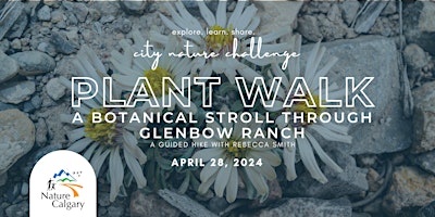 Immagine principale di City Nature Challenge - Plant Walk @ Glenbow Ranch 