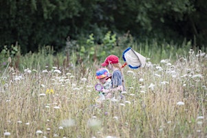 Immagine principale di Wildfamilies Bug Hunt and Bug Crafts at Tucklesholme Nature Reserve 