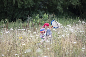 Wildfamilies Bug Hunt and Bug Crafts at Tucklesholme Nature Reserve