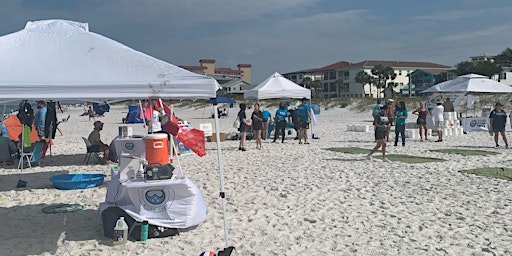 Earth Day Turtle Nesting Beach Cleanup primary image