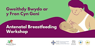 Blaenau Gwent Antenatal Breastfeeding Workshop primary image