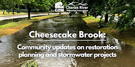 Cheesecake Brook: Community updates on restoration planning and stormwater