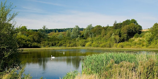 Hauptbild für Summer Sites and Sounds at Coul Den