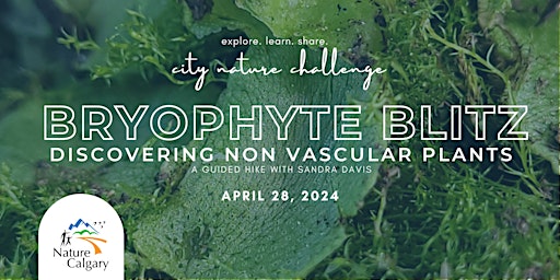 Imagem principal do evento City Nature Challenge - Bryophyte Blitz