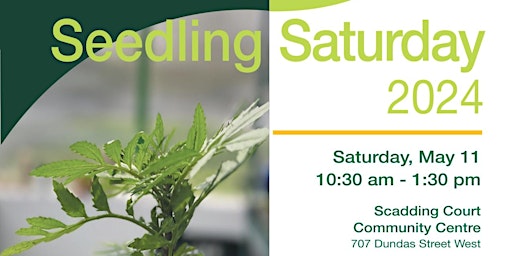 Hauptbild für Scadding Court Seedling Saturday