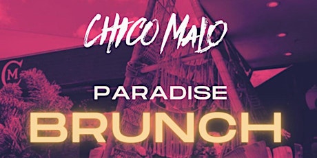 Paradise Brunch  Chico Malo