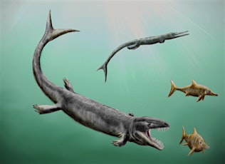 Dinosaurs and Fossils primary image