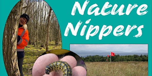 Imagem principal do evento Nature Nippers!