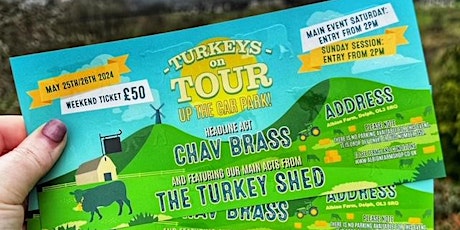 TURKEYS ON TOUR (up the car park!)