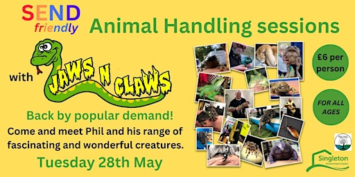 Imagem principal do evento Jaws n Claws SEND friendly Animal Handling