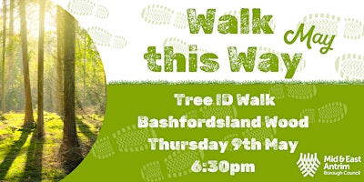 Imagem principal do evento Tree ID Walk