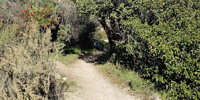 Bailey Canyon Nature Walk primary image