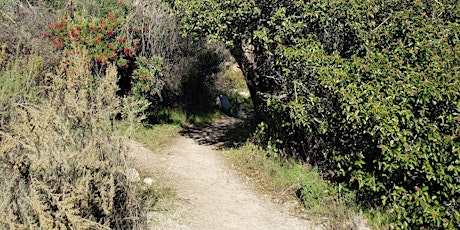 Bailey Canyon Nature Walk