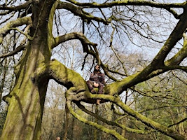 Hauptbild für Tree ID and Breathwork Exploration at the Northern Slopes