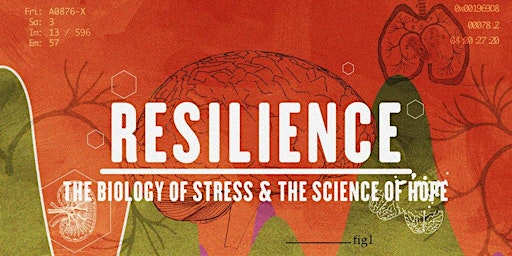 Imagen principal de WYS - Resilience