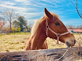 Redstone Ranch Tack swap and Fun day! primary image