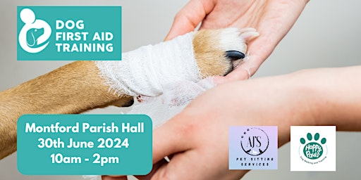 Dog First Aid - Shrewsbury