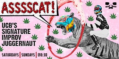 ASSSSCAT - 4/20 Friendly primary image