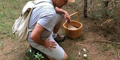 On-Farm Spring Foraging Dinner