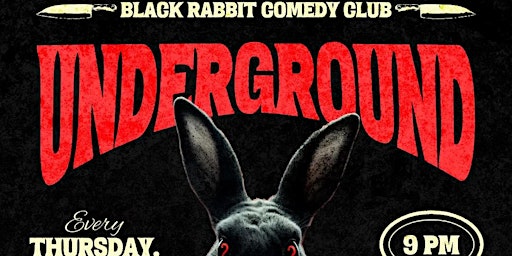 Immagine principale di UNDERGROUND COMEDY SHOWCASE 