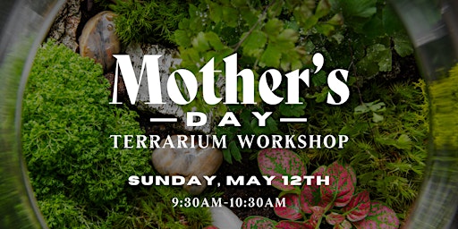Image principale de Mother's Day Terrarium Workshop