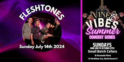 Imagen principal de FLESHTONES - Vine & Vibes Summer Concert Series