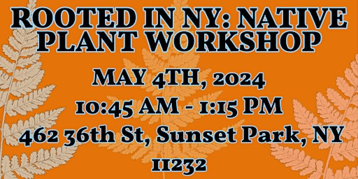 Immagine principale di Rooted in New York: Native Plant Workshop by Russell Rovira-Espinoza 