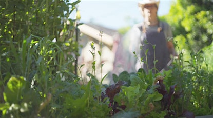May 18th Sweet Antelope Vegetable Garden  Class w/ Light Lunch