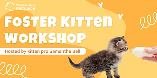 Imagem principal do evento Foster Kitten Workshop
