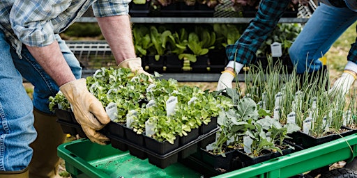 Hauptbild für Container Gardening: Grow Your Own Salad