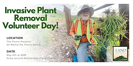 Invasive Plant Removal Volunteer Day!